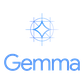 Google (Gemma)